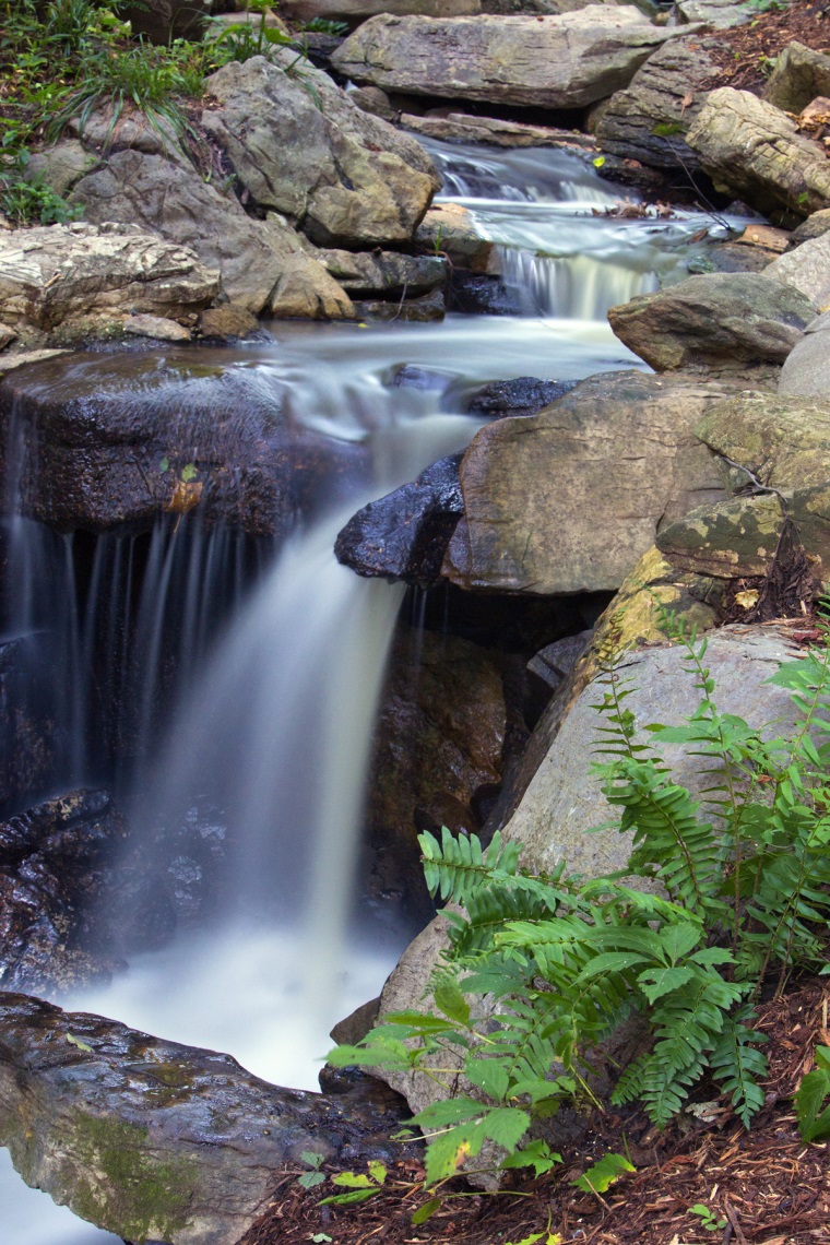 Bog Garden Waterfall