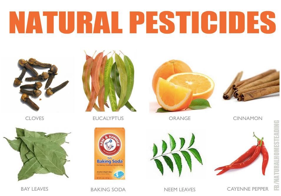 Alternatives to pesticides