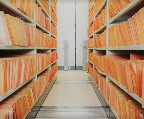 Shelves of Files