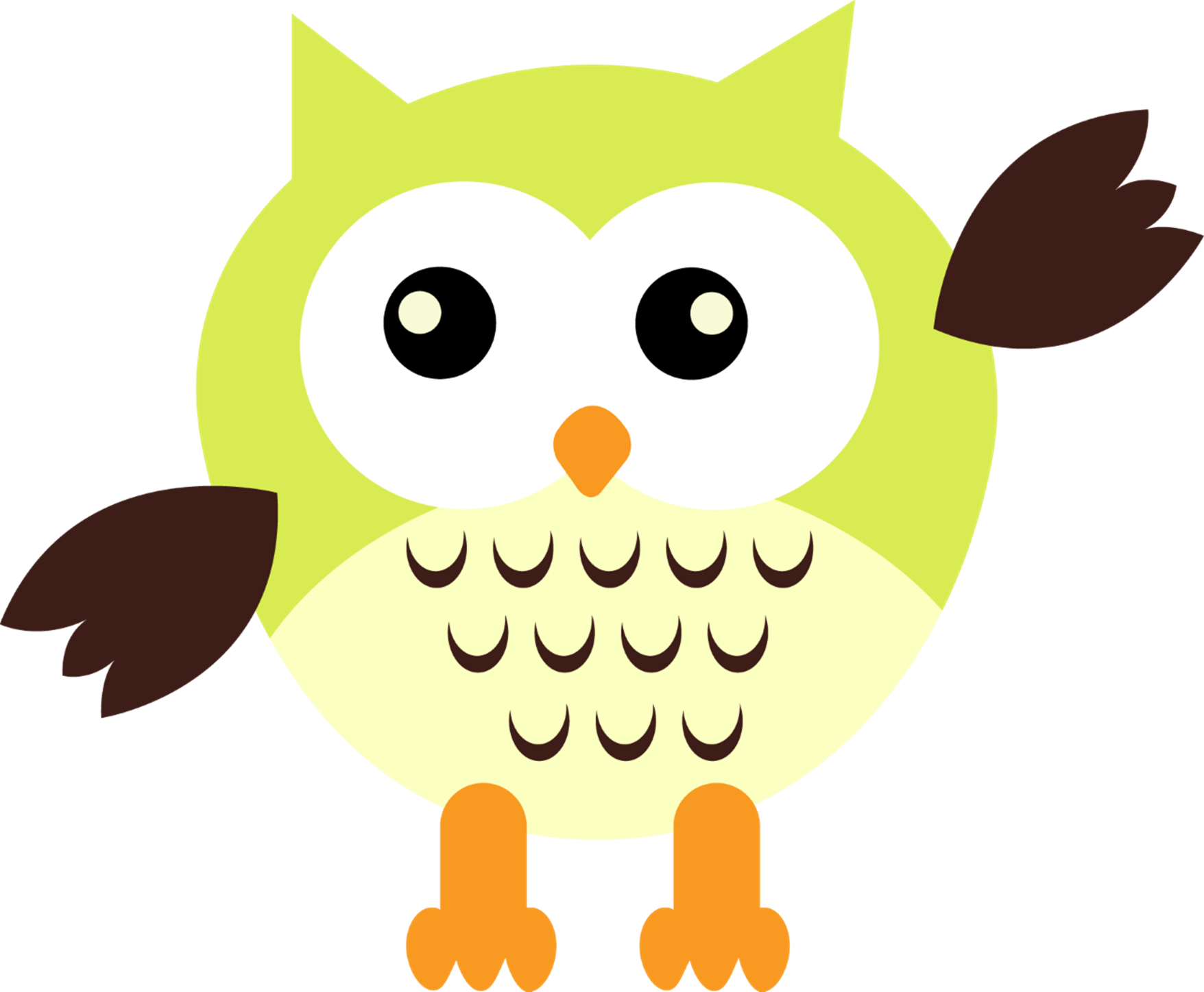 owl