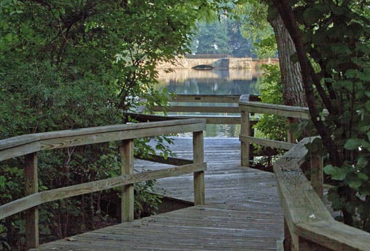 bog-lake-view-fs