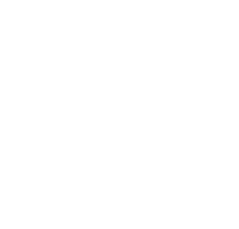 Roller Blade