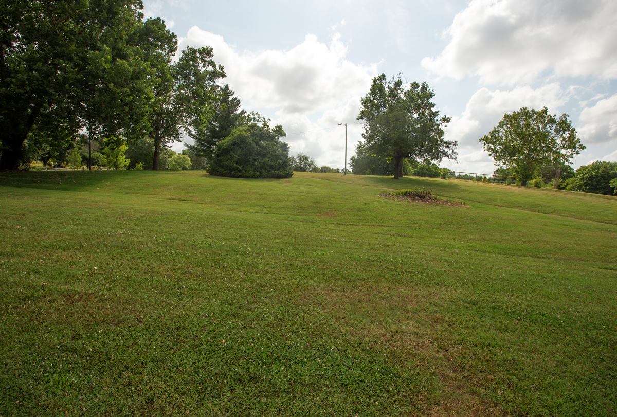 Open field with rocks and trees