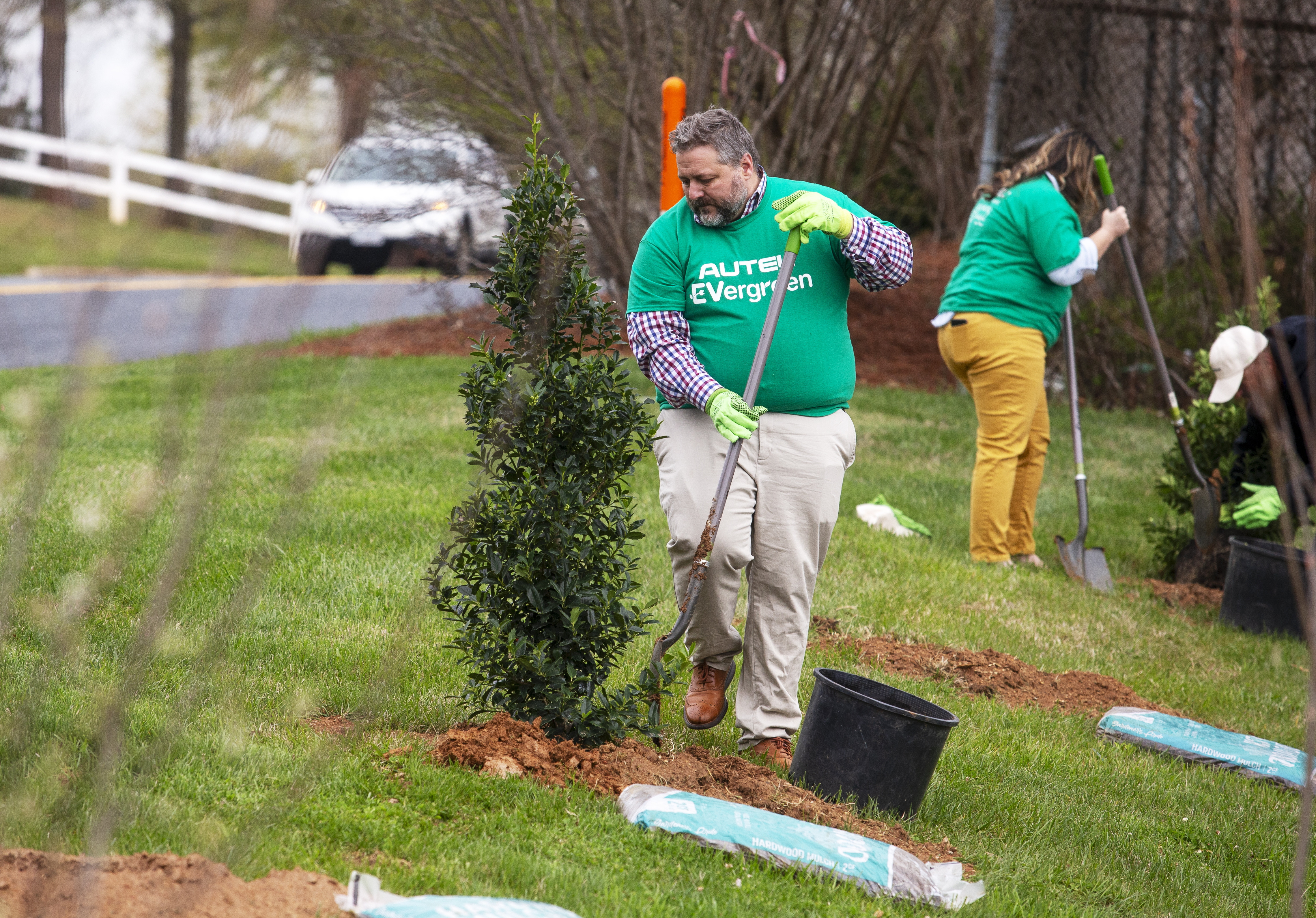 man using shovel to plant tree