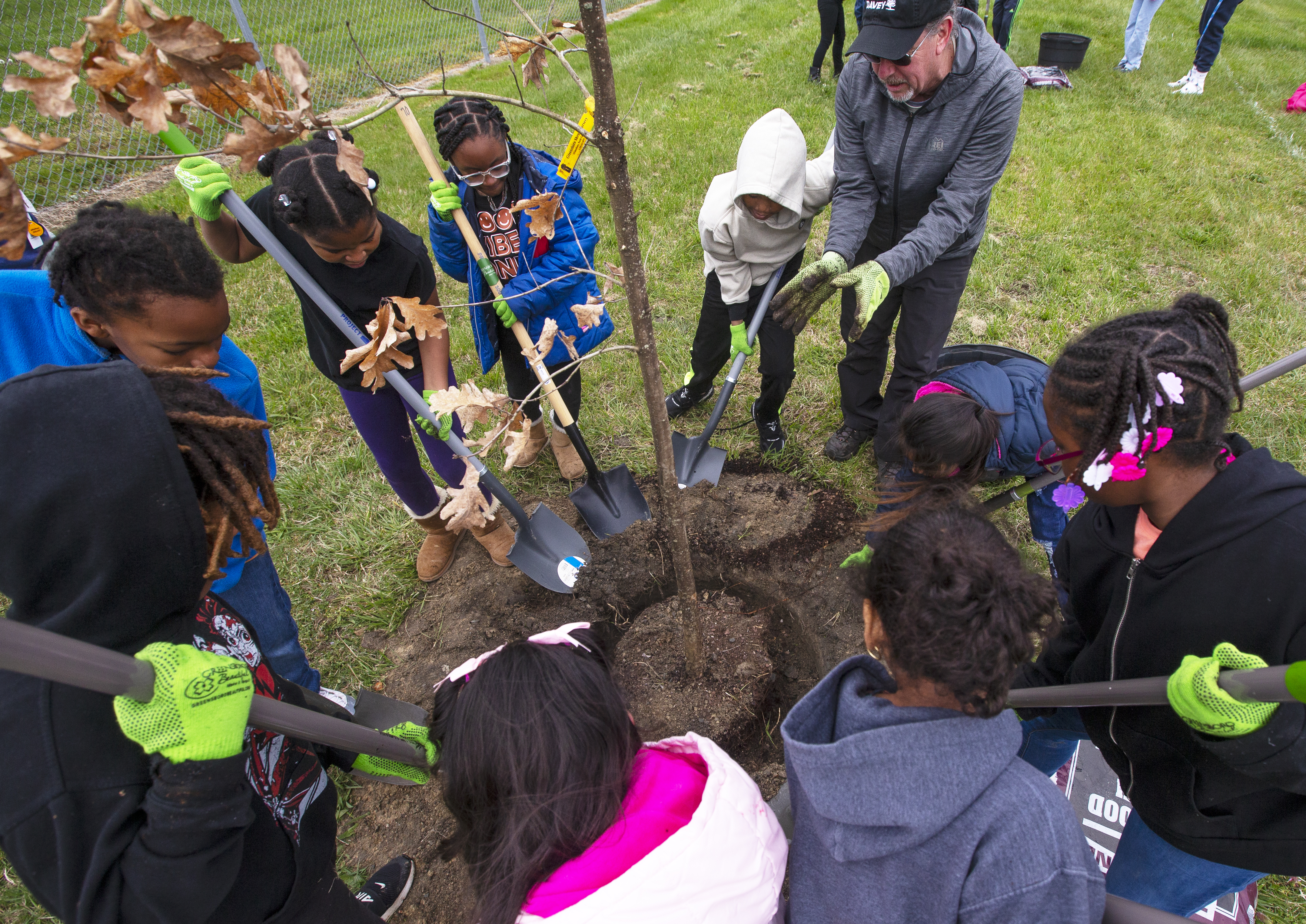 children planting a tree