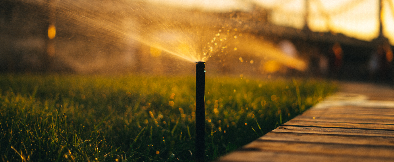 Evening Sprinkler running