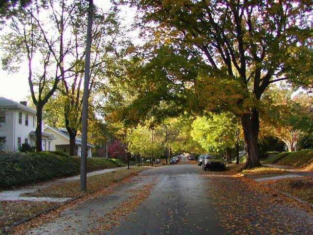 Westerwood streetscape